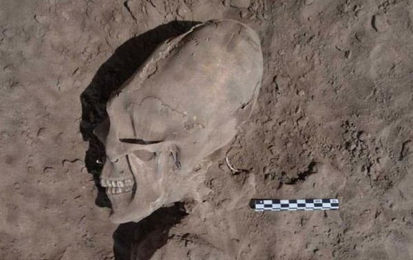 Egy 1000 éves Alien koponyát találtak