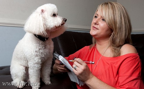 Az igazi Dr. Dolittle, aki meghallgatja az állatokat!