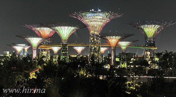 A szingapúri éjszakákat hatalmas napelemes fák világítják be