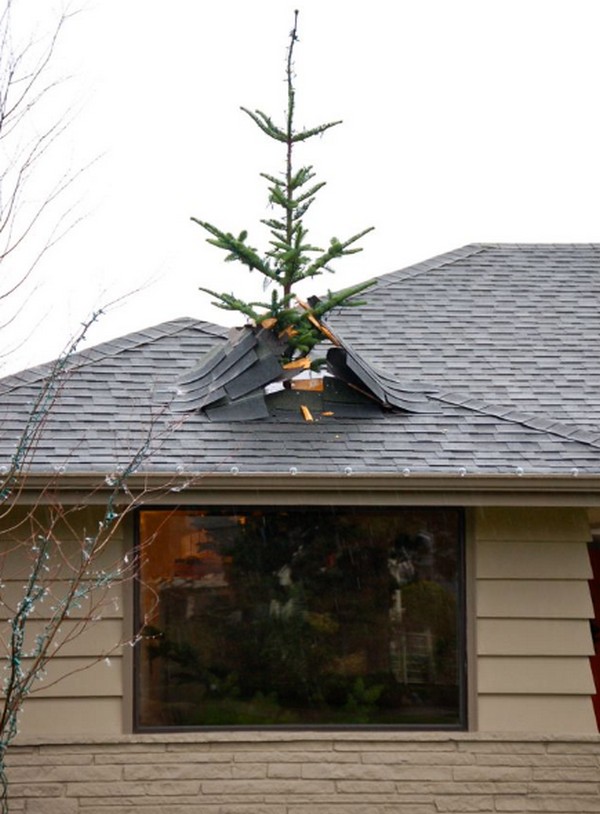 Karácsonyfa, amely átszúrja a tetőt