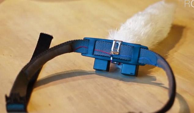 article-taillytale-0104