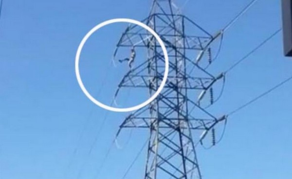 Egy drogos férfi hatalmas villanyoszlopon tornázott, belehalt! +18 videó