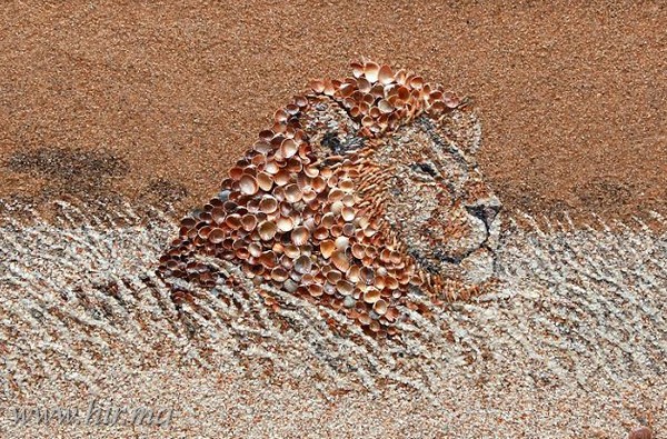 Művészi képek homokból, kövekből és kagylókból