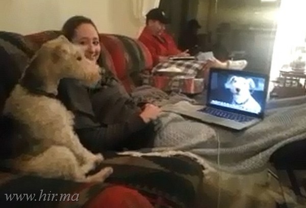 Így beszélget Skype- on 2 kutya!