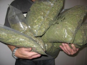 marihuánát találtak a pénzügyőrök