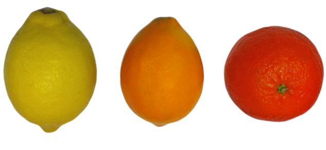 Ismeri a Meyer citromot? Bemutatjuk!