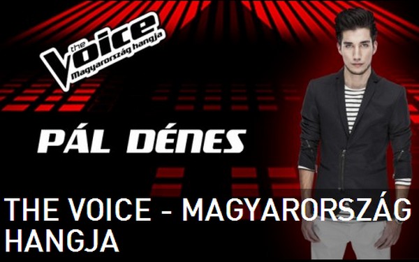 Elvitték a The Voice első helyét - Pál Dénes lett Magyarország hangja!
