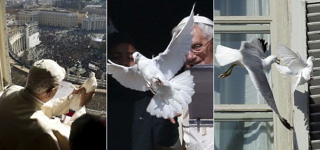 A pápa békegalambját megtámadta egy sirály