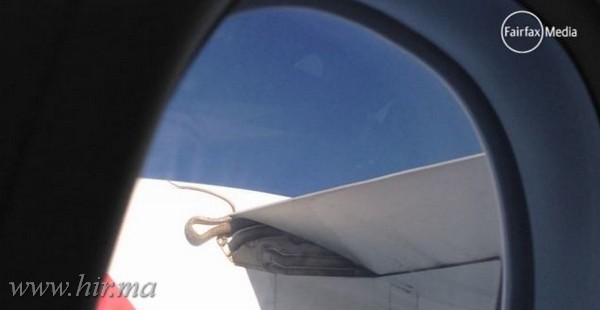 Kígyó utazott egy repülőgép szárnyán