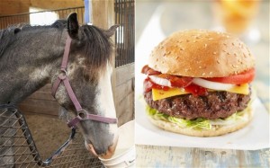 horse-burger
