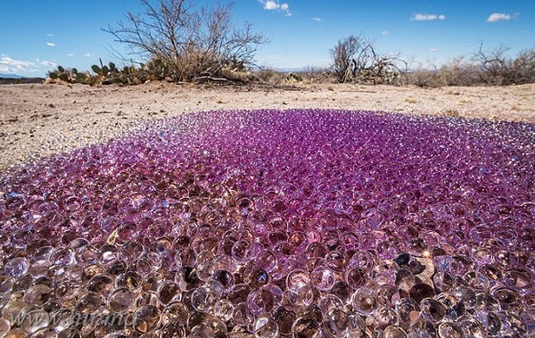Titokzatos lila gömböket találtak a sivatagban