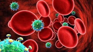 A HIV vírus mérete számottevően kisebb az emberi vörösvérsejtek méretéhez képest.