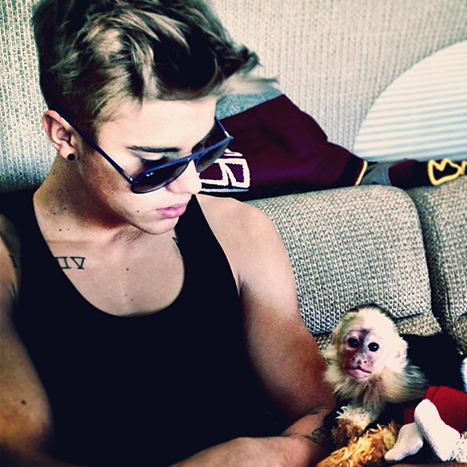 Biebernek majma van