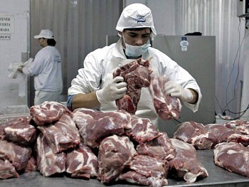 Öt francia cég érintett a lóhús botrányban