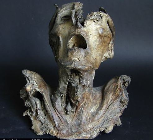 1200 körüli mumifikált fejet találtak