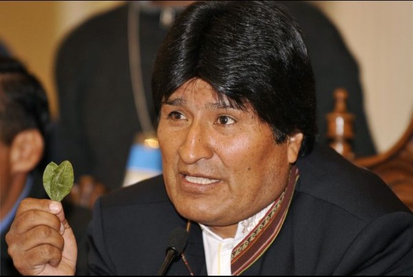 Evo Morales, bolíviai elnök egy kokalevéllel a kezében
