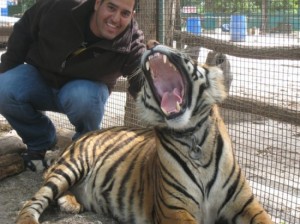 tigris1