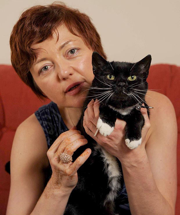 Peres úton kapta vissza saját macskáját egy nő