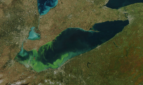 Great Lakes Algae Erie