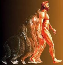 Darwin vs. Biblia tízezer dolcsiért!