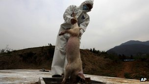 Újabb rejtélyes állattetemek Kínában