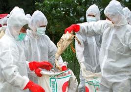 Kínában kéttucatnyi új madárinfluenzás megbetegedést jelentettek múlt héten