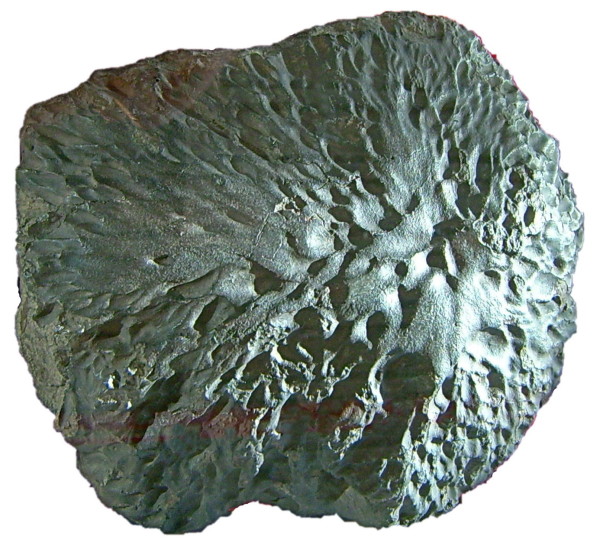 meteorit