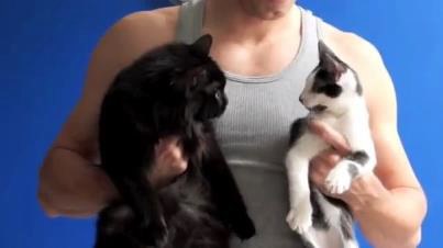 Macskás férfi a cicájával együtt tornázik - videó
