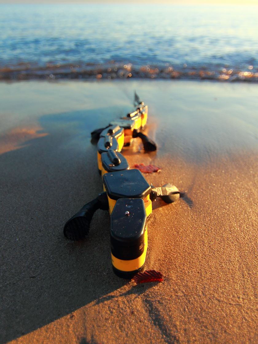 Robot szalamandra, amely a vízben is úszik - videó