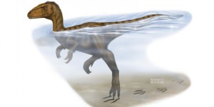 A tudósok elképzelése arról, hogyan hagyhatták ott különös karomnyomaikat a dinoszauruszok.