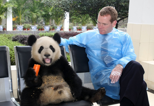Több a politikus, mint a panda, avagy a világ 2013-ban