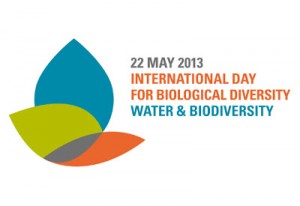 International-Day-of-Biodiversity-2013