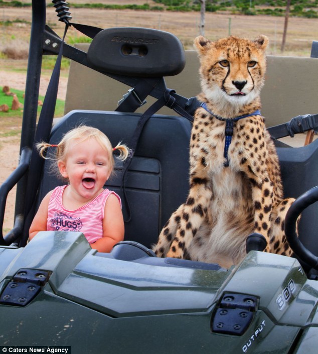 Gepárdokkal nő fel a két kisgyerek