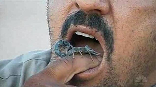 Az iraki farmer élő skorpiókat eszik