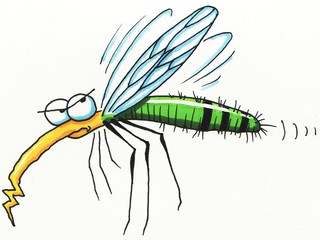 Szúnyogokkal a malária ellen!