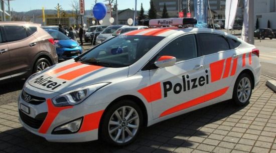 fake-police-car2