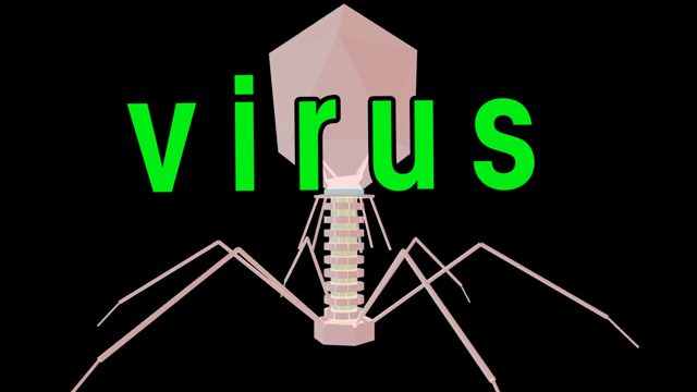 Új veszélyt jelent a MERS vírus?