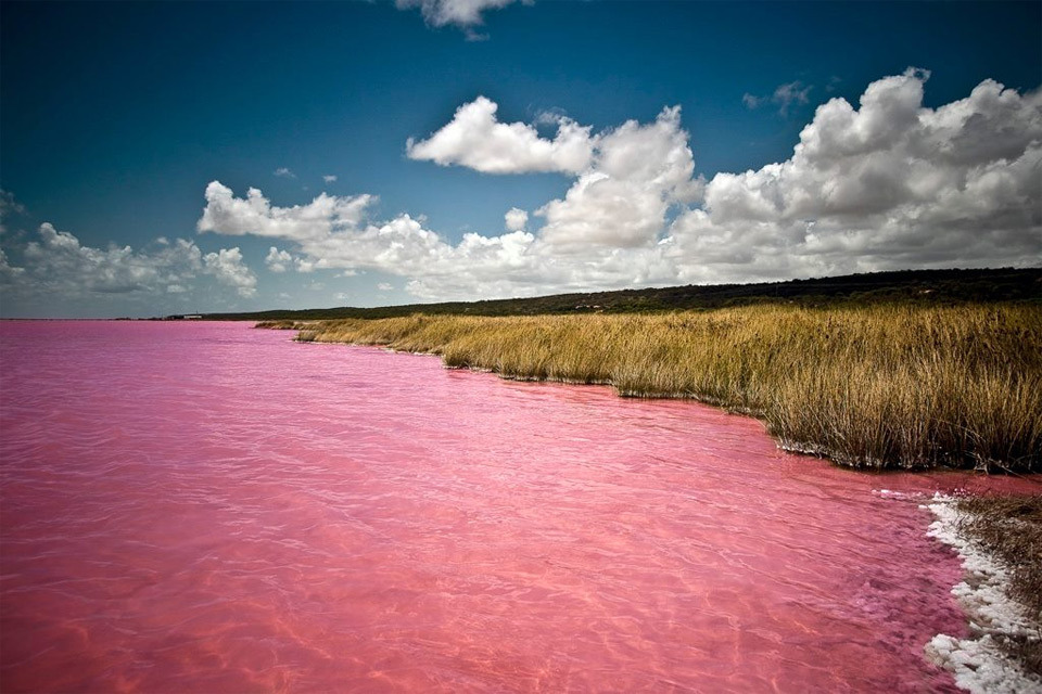 Rózsaszín tó