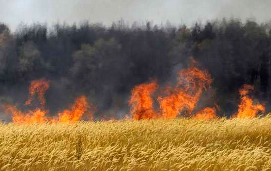 Hat hektáron égett a gabona Somogyban, a tűz okát vizsgálják