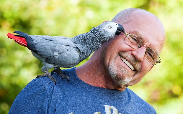 Papagájt panaszoltak be csendszennyezés miatt 