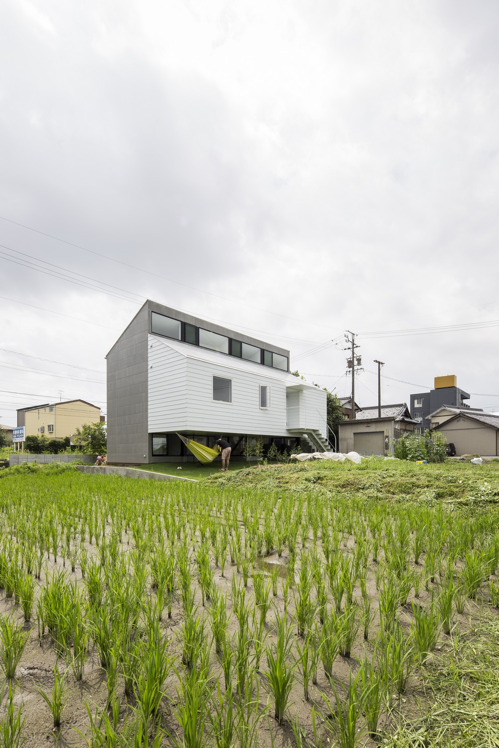 Modern, japán lakóház rizsfölddel