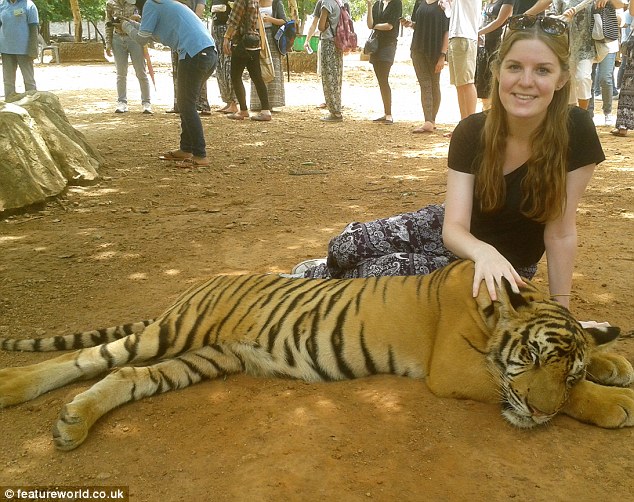 A fiatal lányt tigris támadta meg a szelíd állatairól híres Tigris Templomban