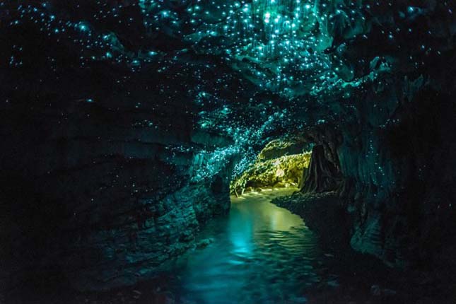 Világító lények a Glowworm barlangban