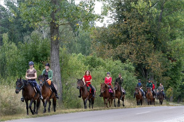 Hucul lovakkal indul túra Aggtelekről Lengyelországba