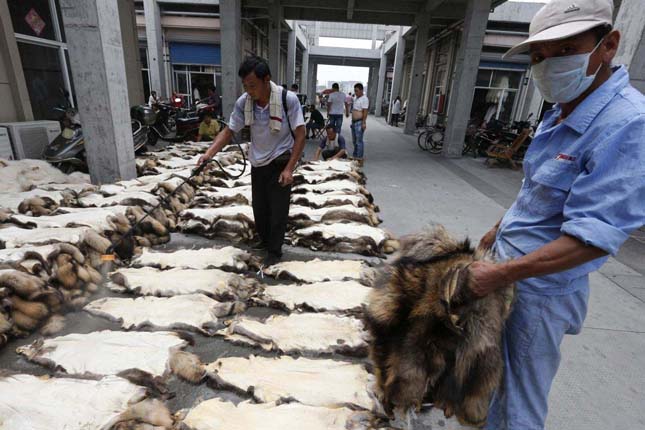 A worker sprays water onto raccoon dog fur before packing them for shipment outside a store at a fur market in Chongfu township