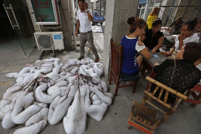 Vendors play cards next to bundles of fox fur at a fur market in Chongfu township