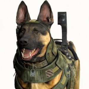 Call-of-Duty-Ghosts-Hero-Dog-610x610