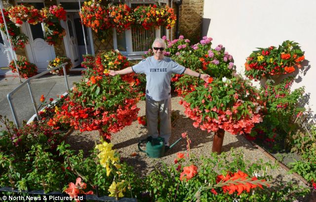 A vak férfi elképesztően színpompás kertjével díjat nyert! 