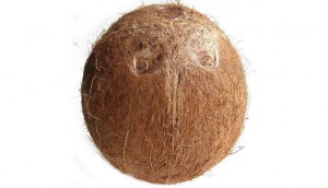 coconutmagic
