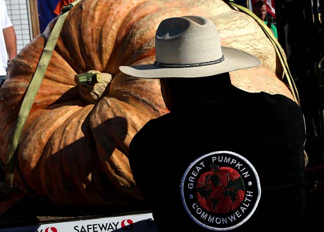 Annual Heavyweight Pumpkin Contest Held In Half Moon Bay